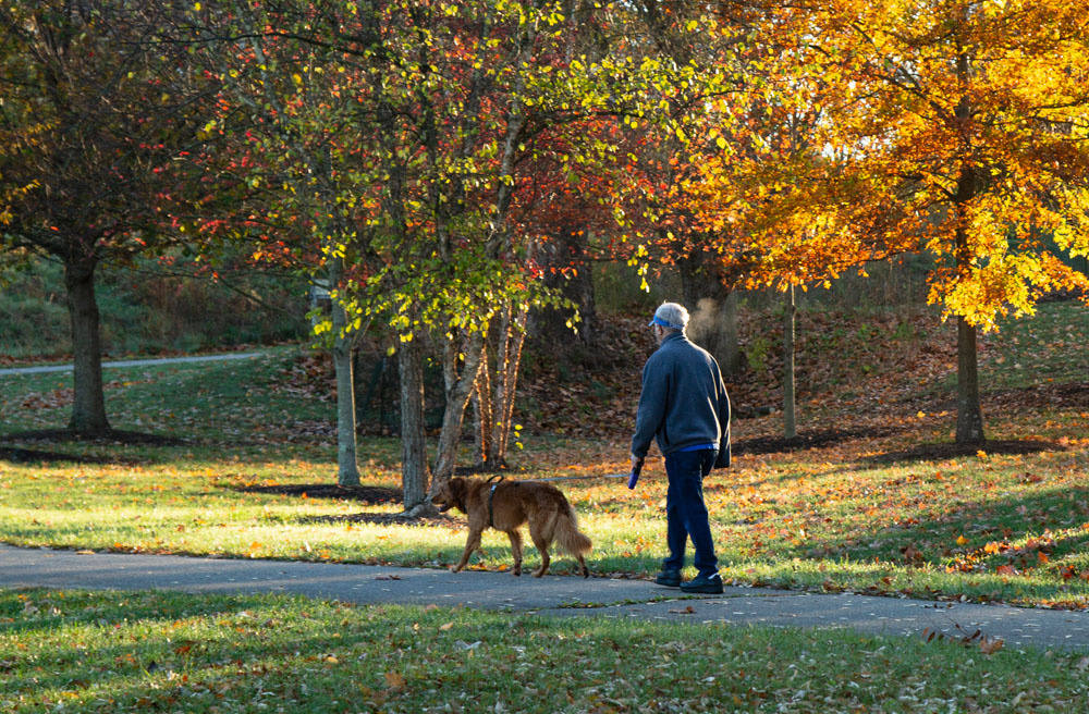 a man walking a dog on a sidewalk