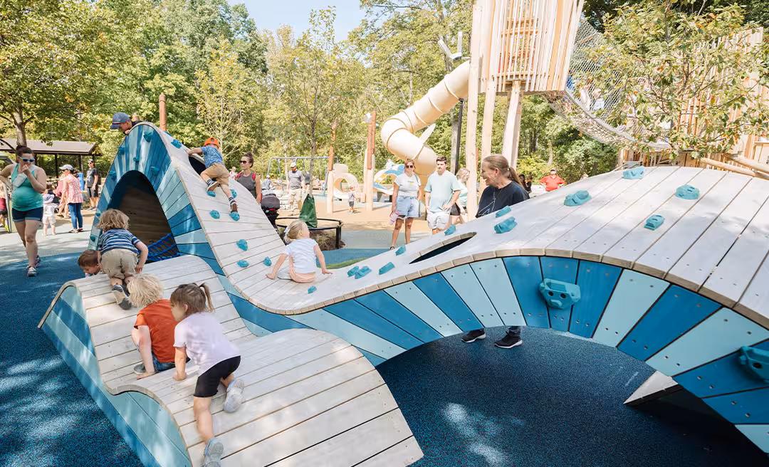a group of kids playing on a playground
