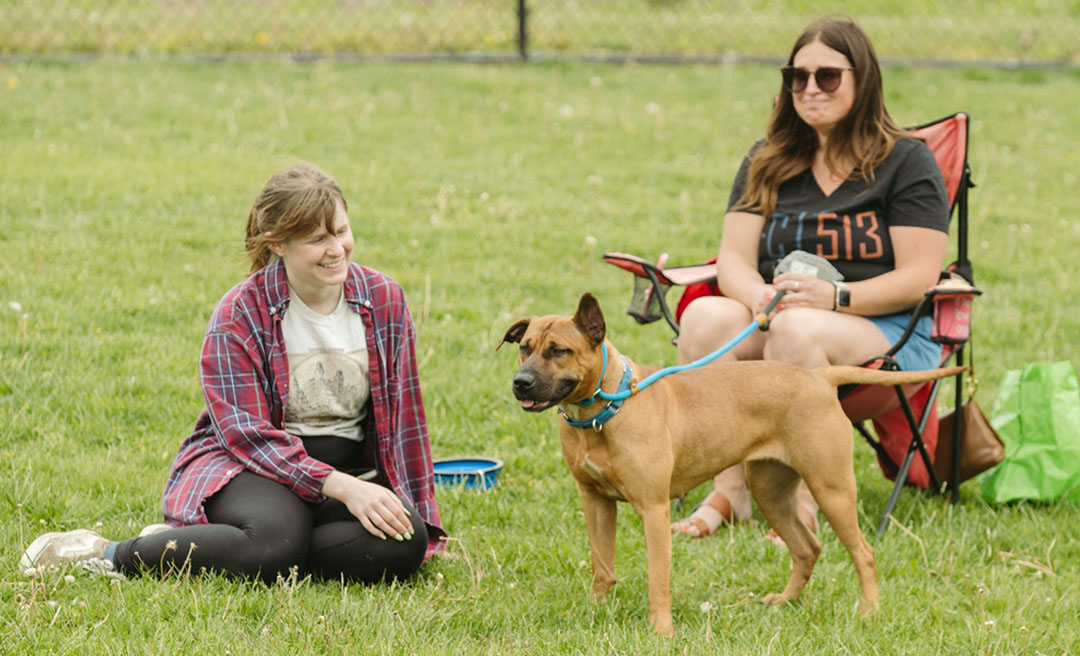 a woman sitting in a chair with a dog on a leash
