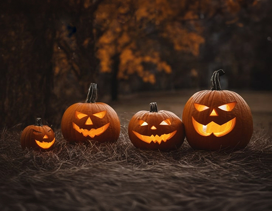 Grouping of 4 carved pumpkins glowing at night