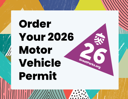 Order your 2026 MVP promo image