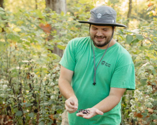 Interpreter talking about honeysuckle berries