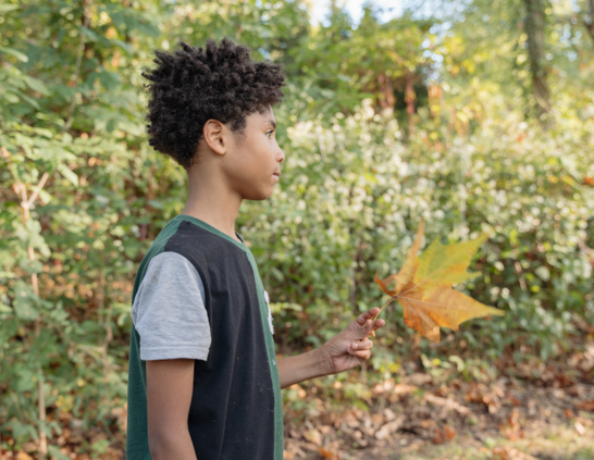 Boy holding a large maple leaf