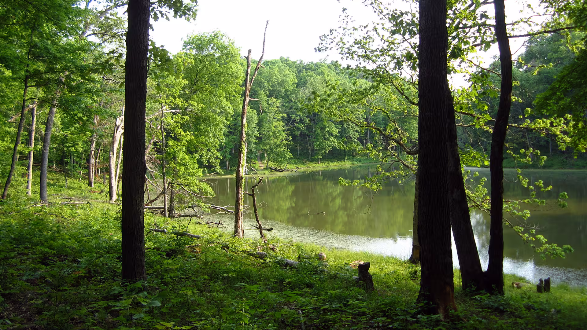 A pond along the Miami Whitewater Forest Timberlakes Trail