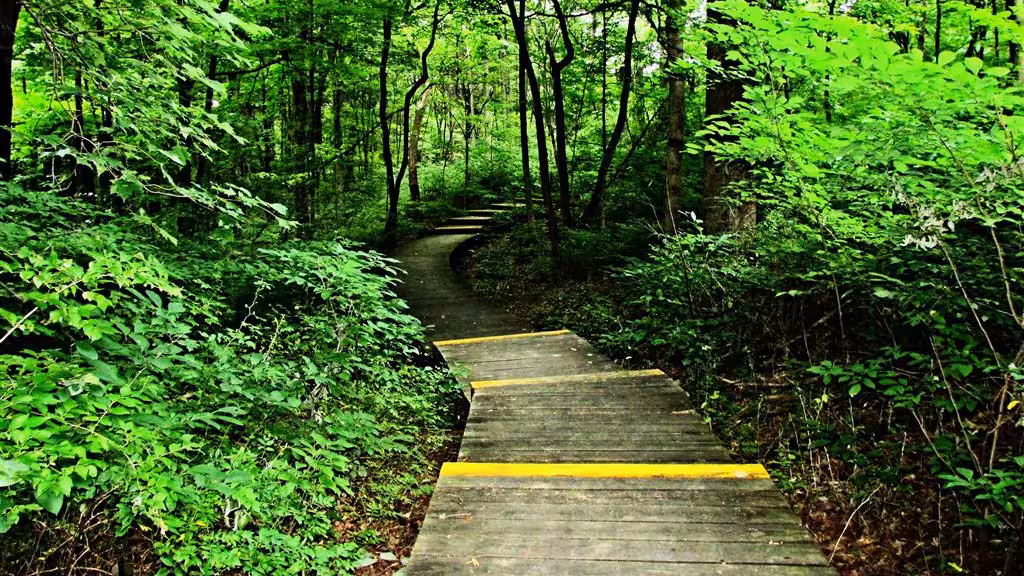 steps leading into the Miami Whitewater Tall Grass Prairie Trail