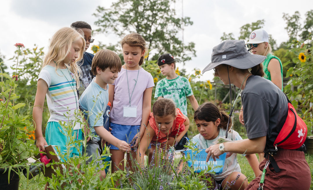 a group of children in a field