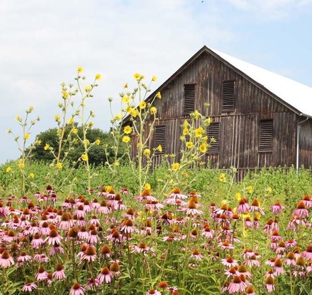 a barn with flowers in front of it