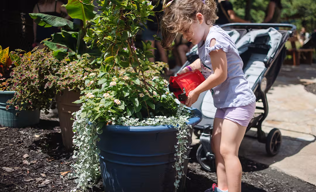 a girl watering a plant