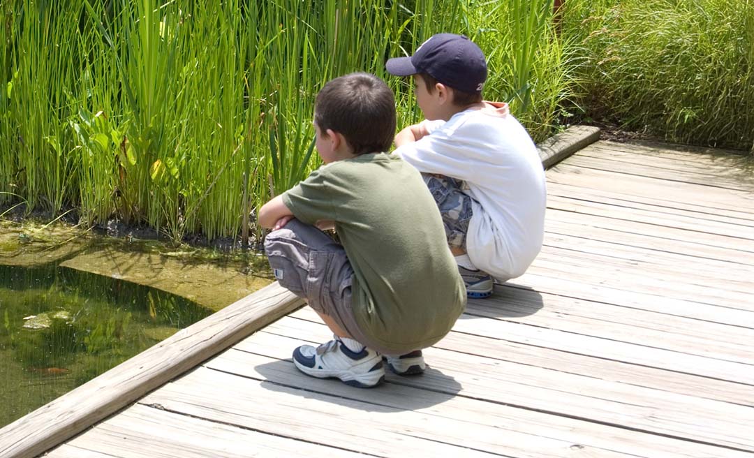 two boys sitting on a wooden bridge