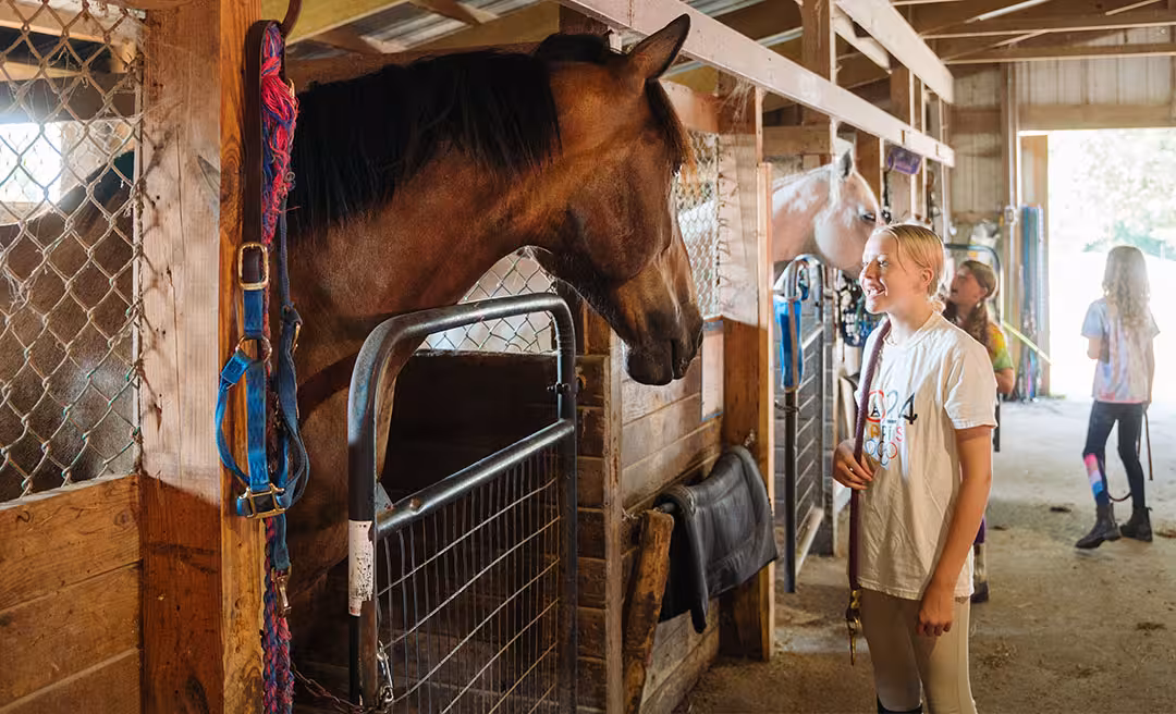 TriThumb_Parkys_Farm_Equestrian_33