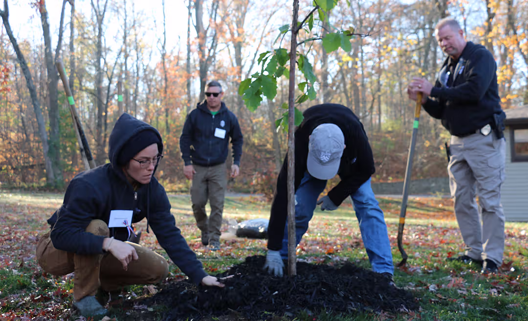 a group of people planting a tree