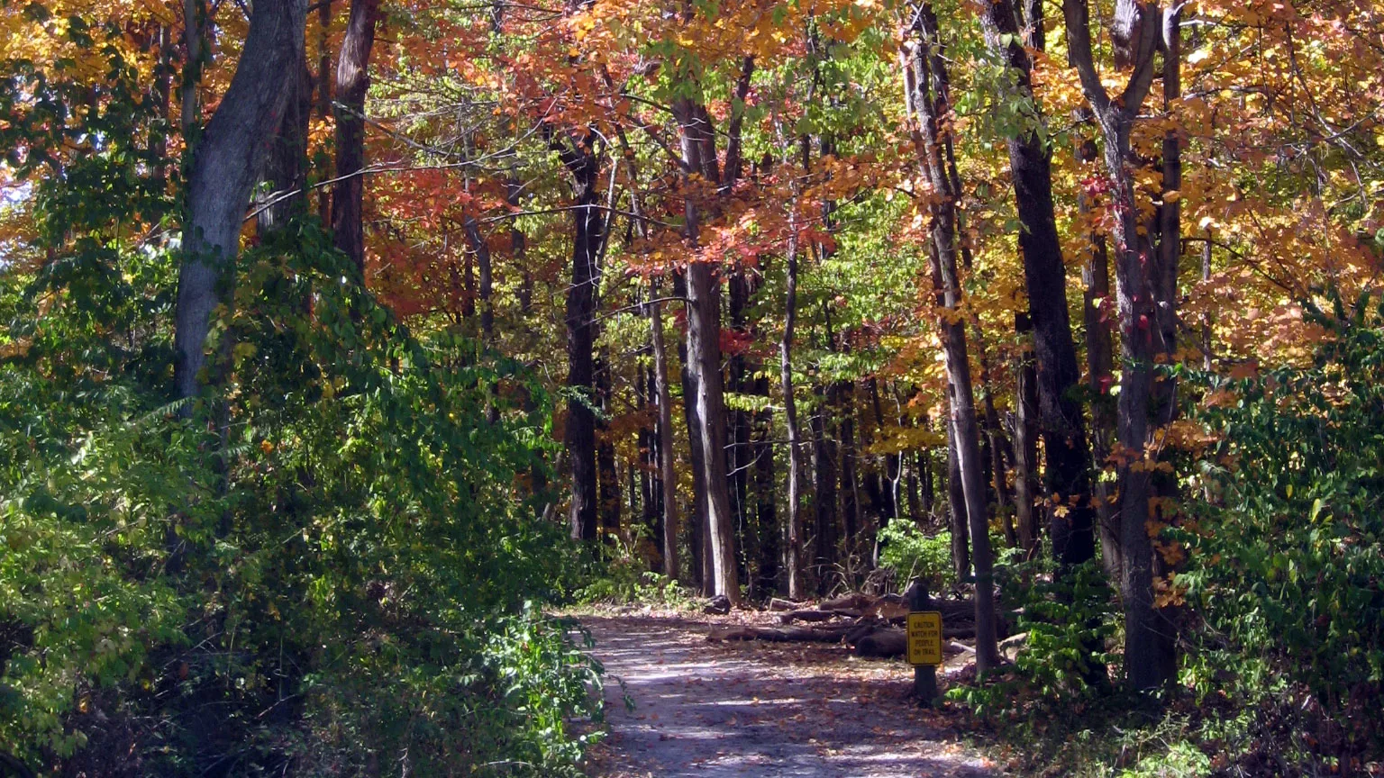 Woodland Mound fitness trail