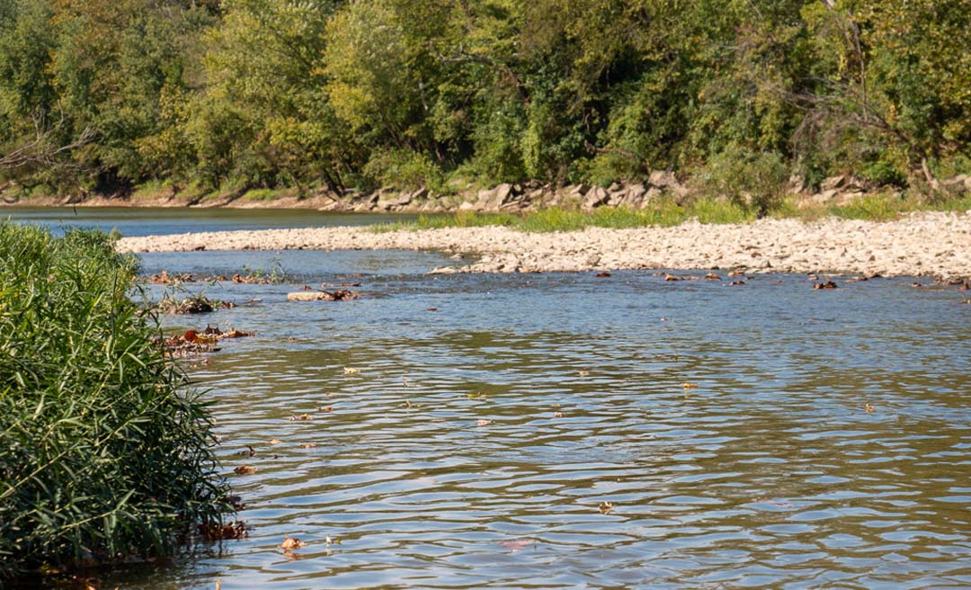 a river with rocks and trees