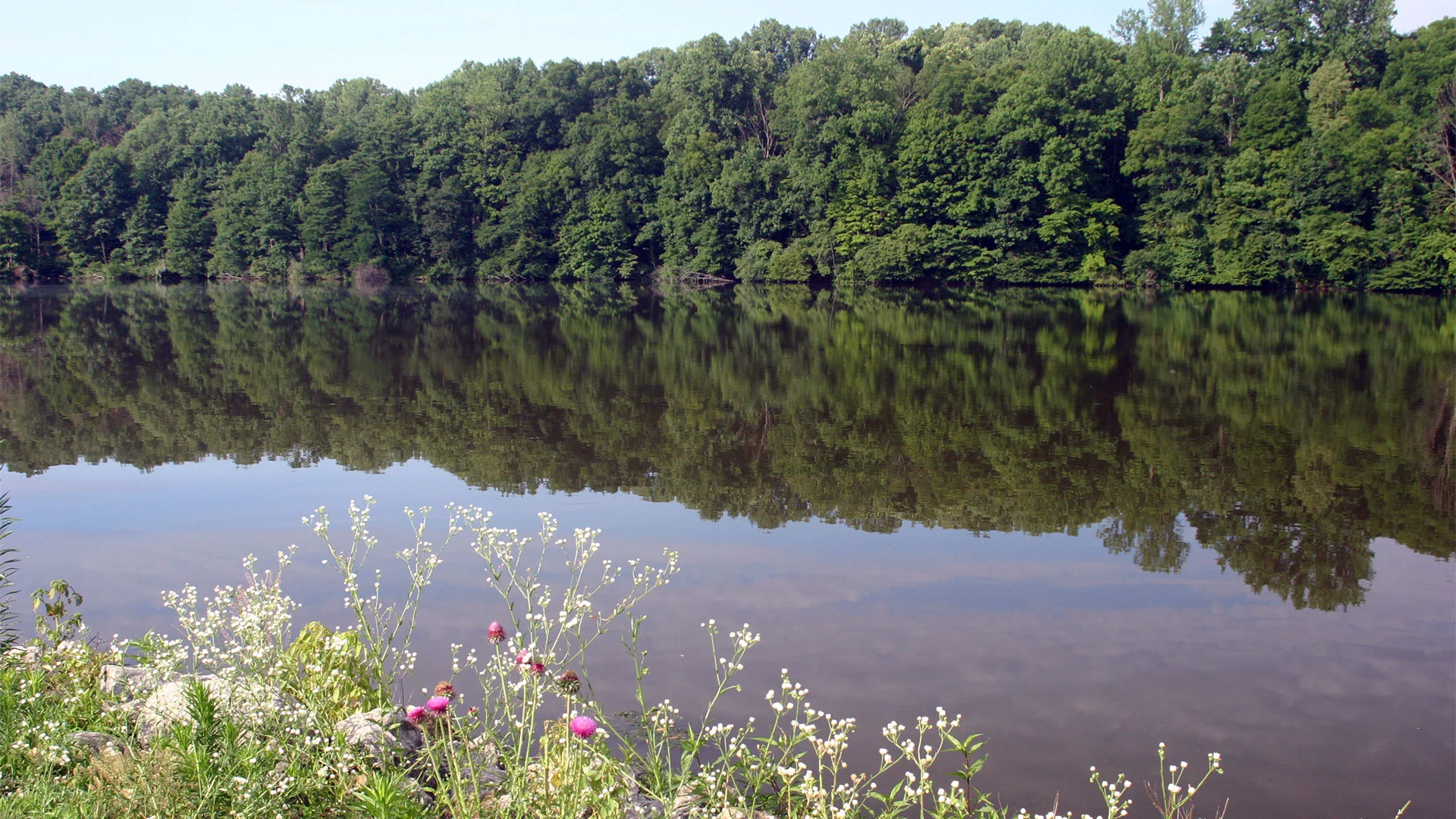 Miami Whitewater Oakleaf Trail