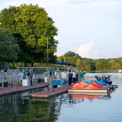 people on a dock with pedal boats