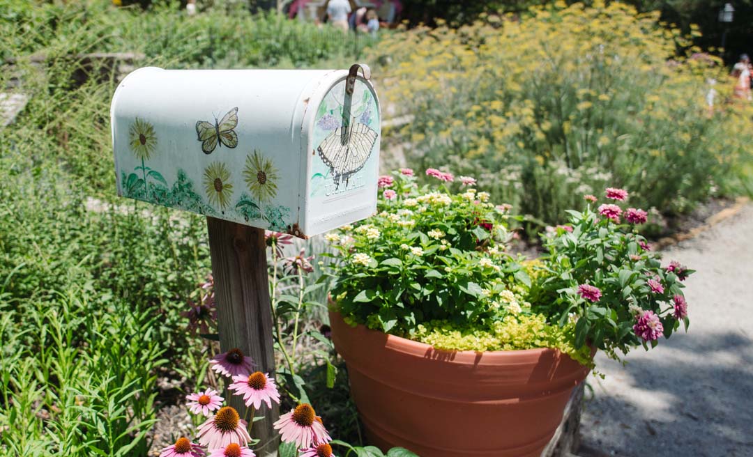 a mailbox with flowers and plants in a garden