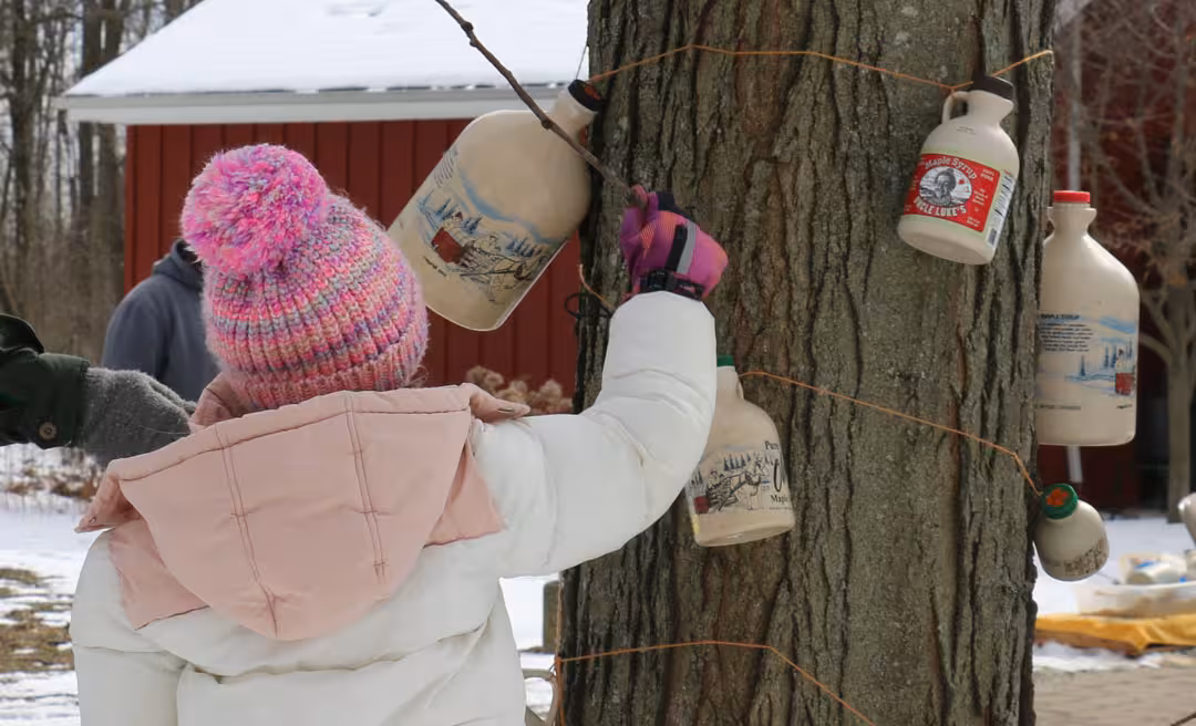 a child holding a tree with jugs on it